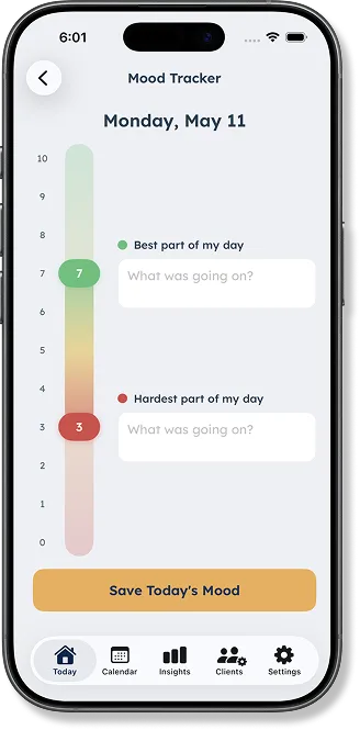 DaySteps mood tracker showing a 0-10 scale with daily context